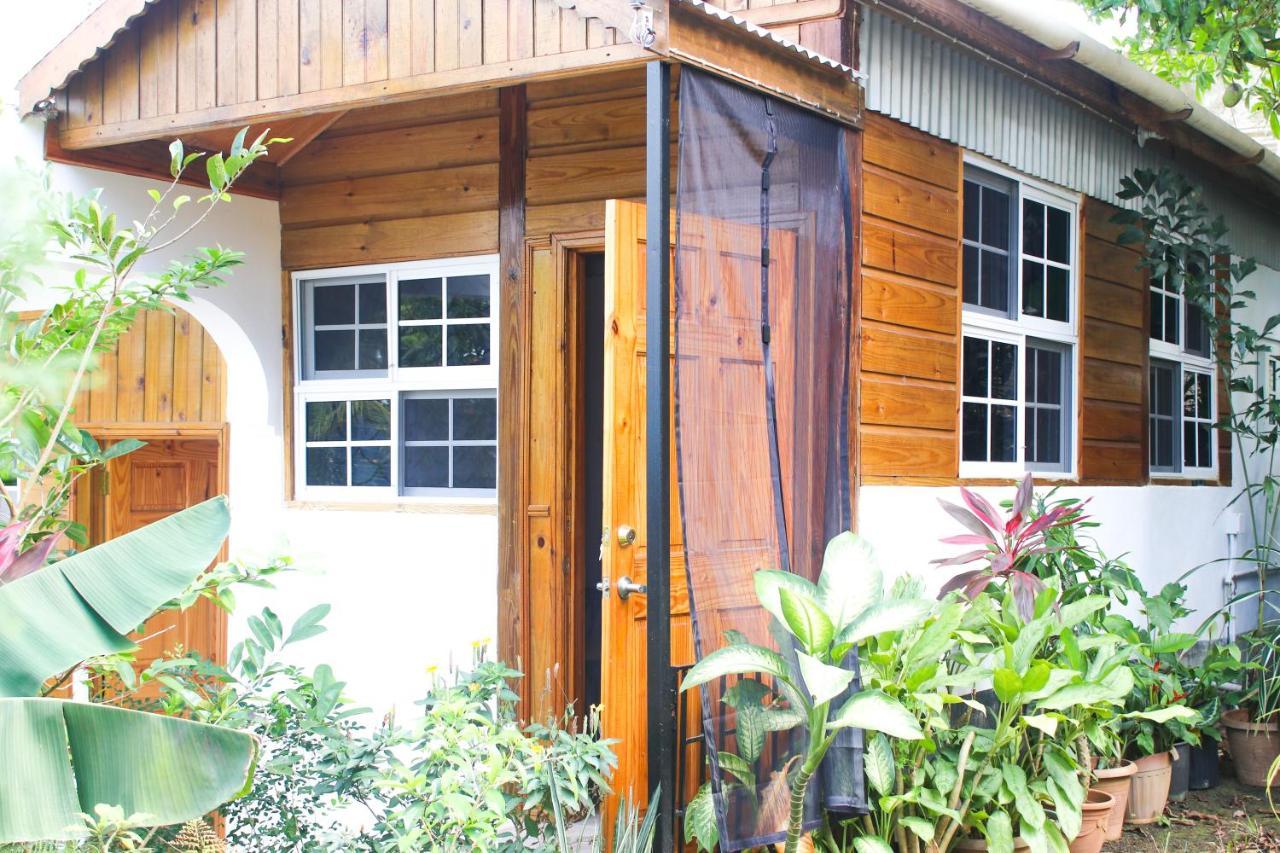 Van Villa Guesthouse Negril Kültér fotó