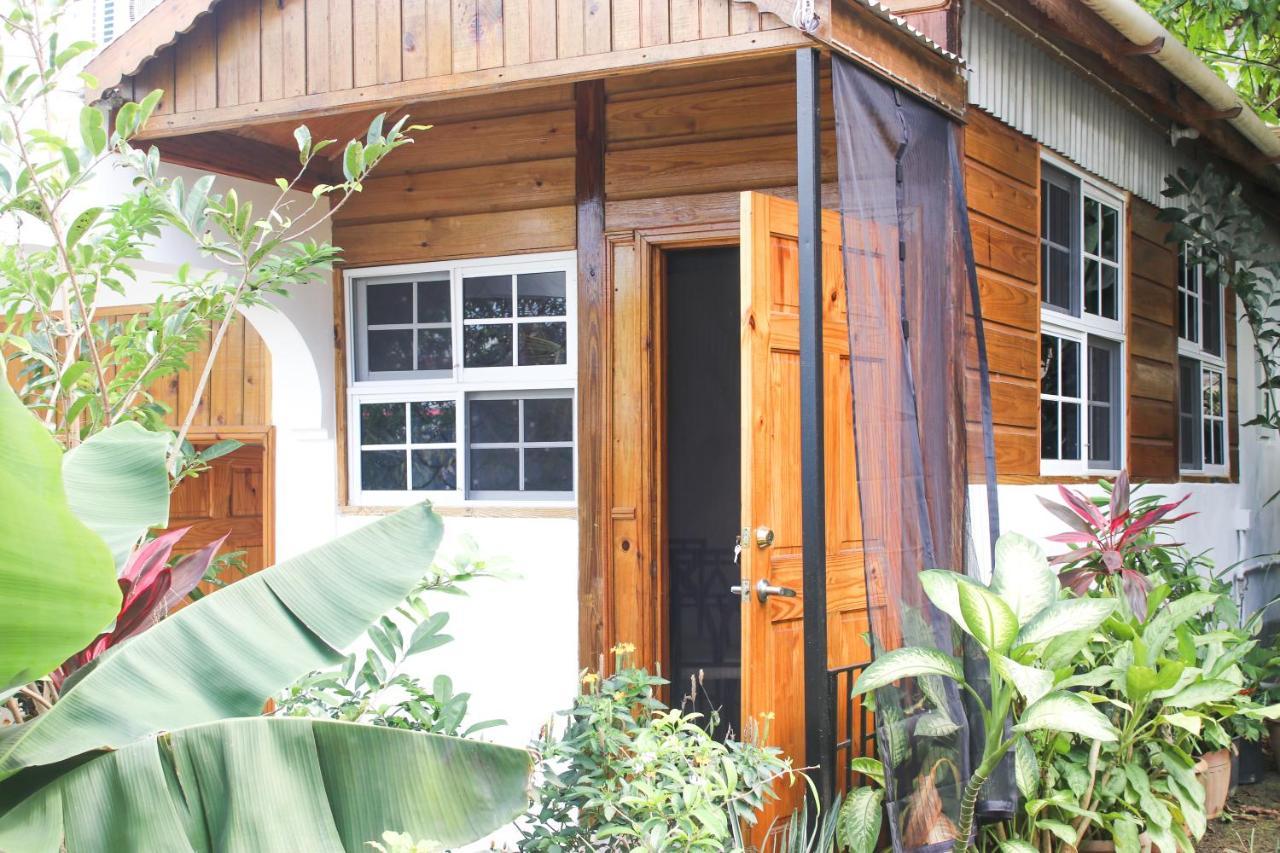 Van Villa Guesthouse Negril Kültér fotó